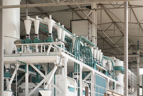 河南中瑞糧油機械 面粉加工工藝流程、設備制造與光伏設備銷售業(yè)務概覽