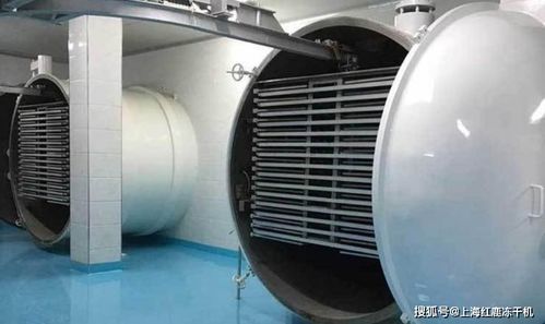 凍干食品市場分析及食品凍干生產(chǎn)設(shè)備發(fā)展趨勢與光伏設(shè)備及元器件銷售的關(guān)聯(lián)